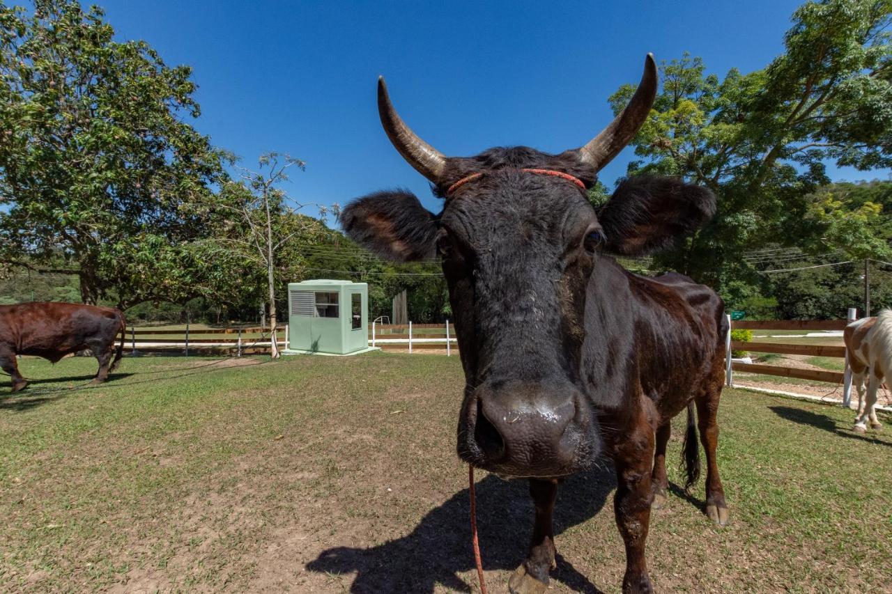 Hotel Fazenda Brisa Itu Buitenkant foto